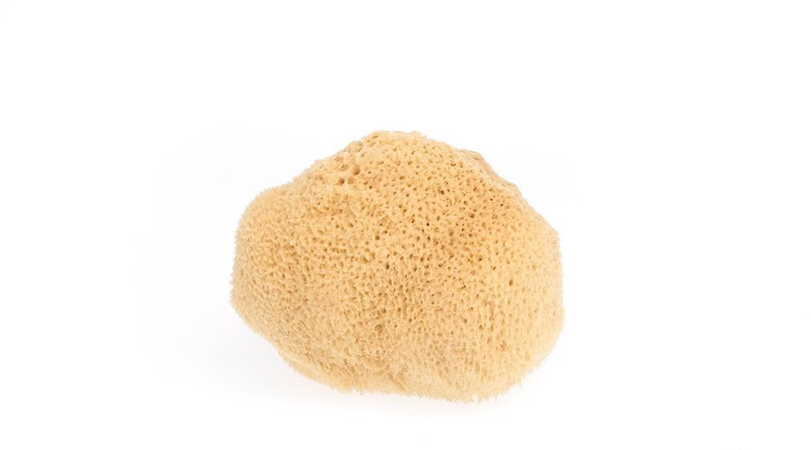 Mořská houba střední nebělená