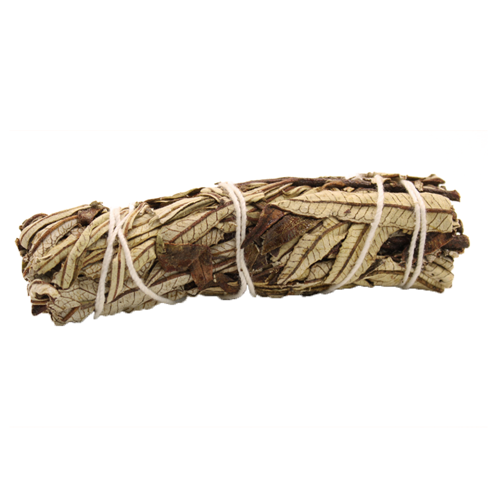 Vykuřovací svazek 10cm - Yerba Santa